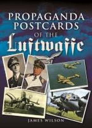 Propaganda Postcards of the Luftwaffe de James Wilson