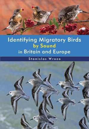 Identifying Migratory Birds by Sound in Britain and Europe de Stanislas Wroza