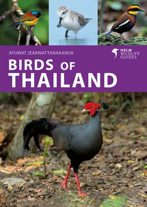 Birds of Thailand de Ayuwat Jearwattanakanok