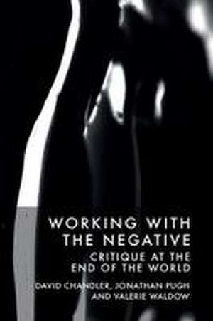 Working with the Negative de David Chandler