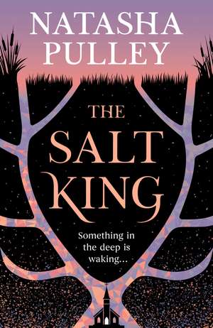 The Salt King de Natasha Pulley