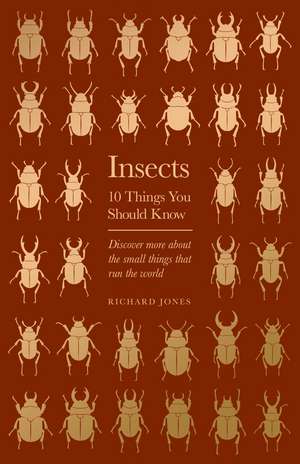 Insects: 10 Things You Should Know de Richard Jones