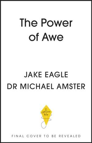 The Power of Awe de Michael Amster