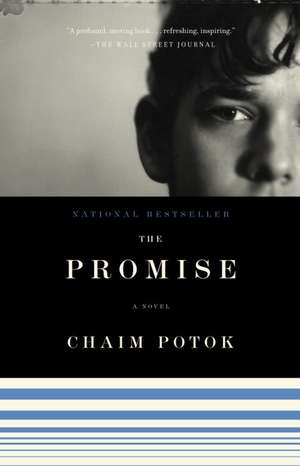 The Promise de Chaim Potok