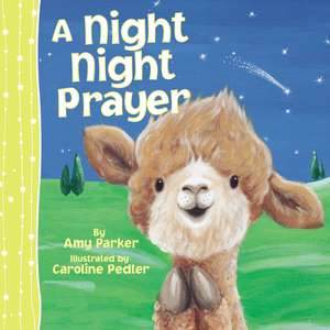 A Night Night Prayer de Amy Parker