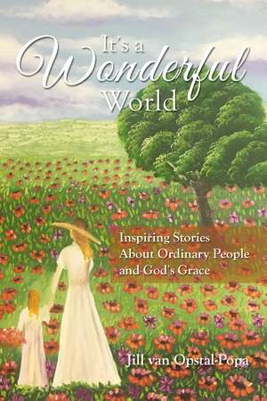 It's A Wonderful World: Inspiring Stories About Ordinary People and God's Grace de Jill Van Opstal-Popa