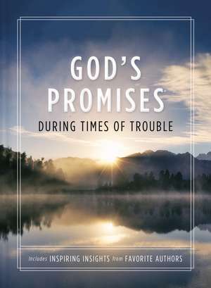 God's Promises During Times of Trouble de Jack Countryman