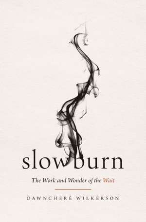 Slow Burn de Dawnchere Wilkerson
