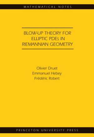 Blow-up Theory for Elliptic PDEs in Riemannian Geometry de Olivier Druet