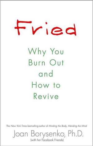 Fried: Why You Burn Out and How to Revive de PhD Borysenko, Joan