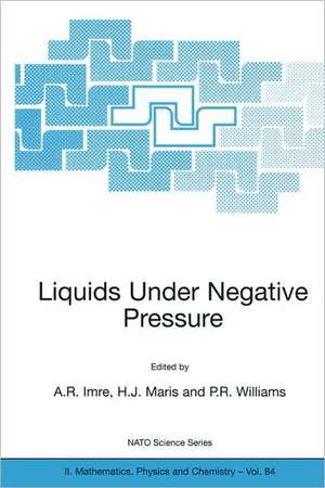 Liquids Under Negative Pressure: Proceedings of the NATO Advanced Research Workshop of Liquids Under Negative Pressure Budapest, Hungary 23–25 February 2002 de A.R. Imre