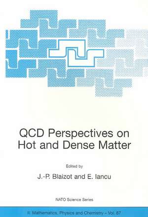 QCD Perspectives on Hot and Dense Matter de Jean-Paul Blaizot