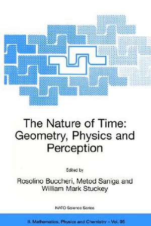 The Nature of Time: Geometry, Physics and Perception de R. Buccheri