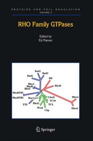 Rho Family GTPases de Edward J. Manser