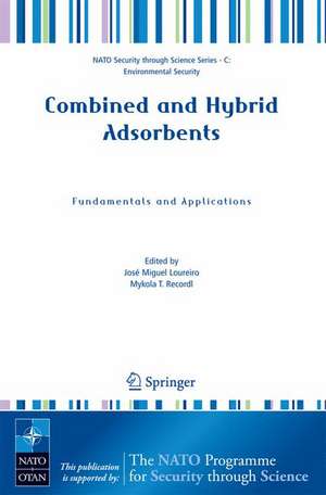 Combined and Hybrid Adsorbents: Fundamentals and Applications de José M. Loureiro