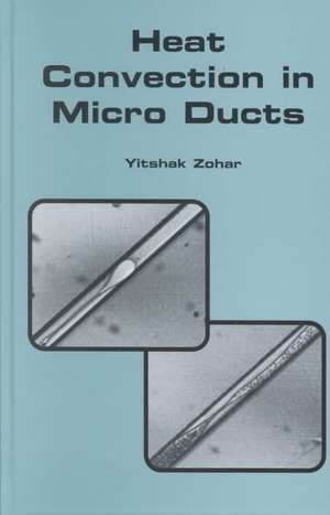 Heat Convection in Micro Ducts de Yitshak Zohar