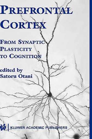 Prefrontal Cortex: From Synaptic Plasticity to Cognition de Satoru Otani