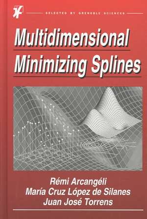 Multidimensional Minimizing Splines: Theory and Applications de R. Arcangéli