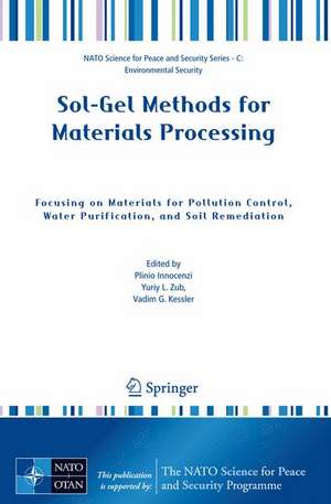 Sol-Gel Methods for Materials Processing: Focusing on Materials for Pollution Control, Water Purification, and Soil Remediation de Yuriy L. Zub