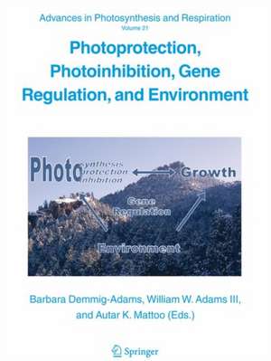 Photoprotection, Photoinhibition, Gene Regulation, and Environment de Barbara Demmig-Adams