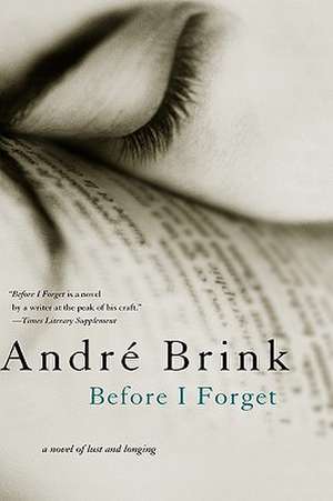 Before I Forget de Andre Brink