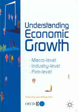 Understanding Economic Growth: *Macro-level *Industry-level * Firm-level de Organisation for Economic Co-operation and Development (OECD)