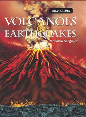 Volcanoes & Earthquakes de Monalisa Sengupta