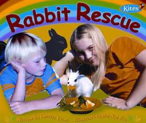 Gear Up, Rabbit Rescue, Grade 2, Single Copy de McGraw-Hill Education