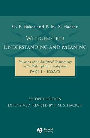 Witt Understanding Meaning de Baker