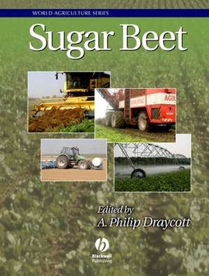 Sugar Beet de A Philip Draycott