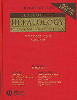 Textbook of Hepatology: From Basic Science to Clinical Practice 2 Volume Set de Juan Rodés