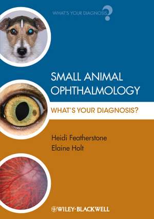 Small Animal Ophthalmology – What′s Your Diagnosis? de H Featherstone