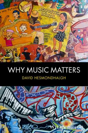 Why Music Matters de D Hesmondhalgh