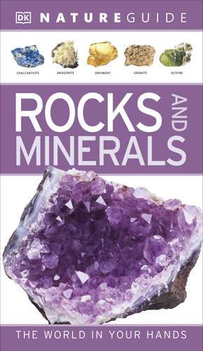 Nature Guide Rocks and Minerals: The World in Your Hands de DK