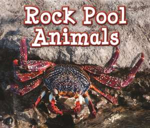 Rock Pool Animals de Sian Smith