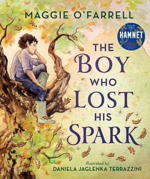 The Boy Who Lost His Spark de Maggie O'Farrell