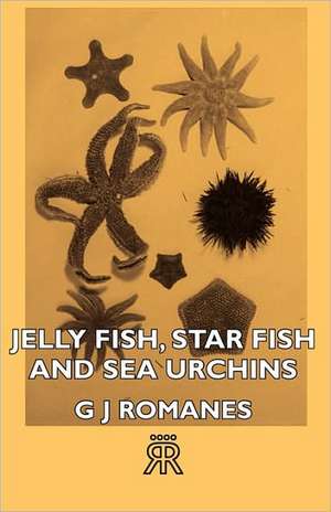 Jelly Fish, Star Fish and Sea Urchins de G. J. Romanes