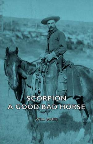 Scorpion - A Good Bad Horse de Will James