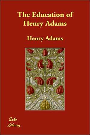 The Education of Henry Adams de Henry Adams