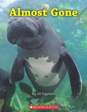 Almost Gone de Jill Eggleton