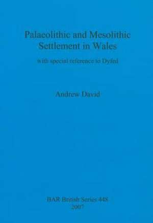 Palaeolithic and Mesolithic Settlement in Wales: With Special Reference to Dyfed de Andrew David