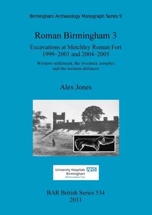 Roman Birmingham 3: Excavations at Metchley Roman Fort 1999-2001 and 2004-2005 de Alex Jones