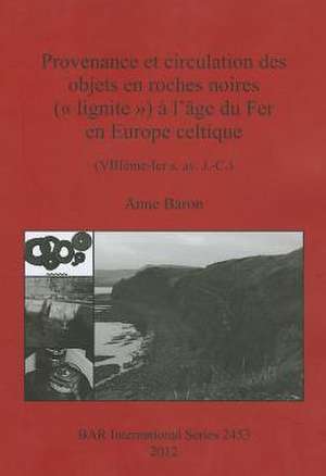 Provenance et circulation des objets en roches noires ( lignite ) à l'âge du Fer en Europe celtique de Anne Baron