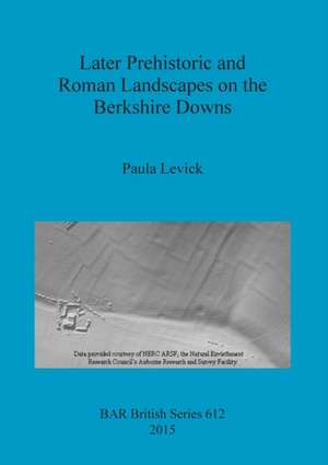 Later Prehistoric and Roman Landscapes on the Berkshire Downs de Paula Levick