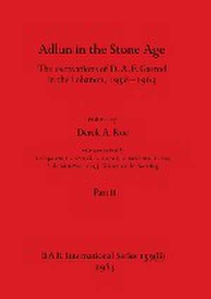 Adlun in the Stone Age, Part ii de Derek A. Roe