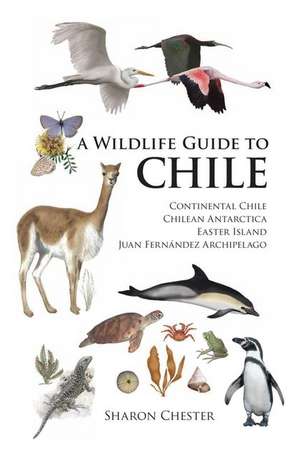 A Wildlife Guide to Chile de Sharon Chester