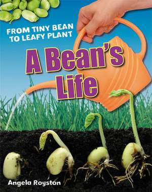 A Bean's Life: Age 6-7, below average readers de Angela Royston