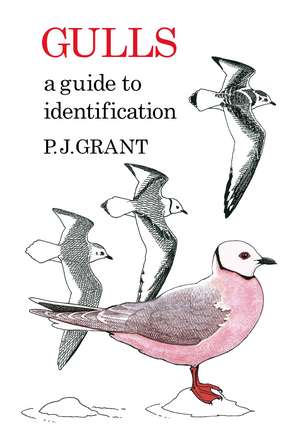 Gulls: A Guide to Identification. 2nd Edition de P.J Grant