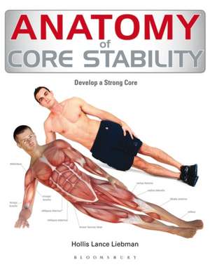 Anatomy of Core Stability