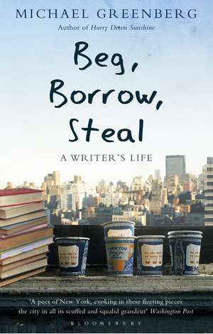 Beg, Borrow, Steal: A Writer's Life de Michael Greenberg